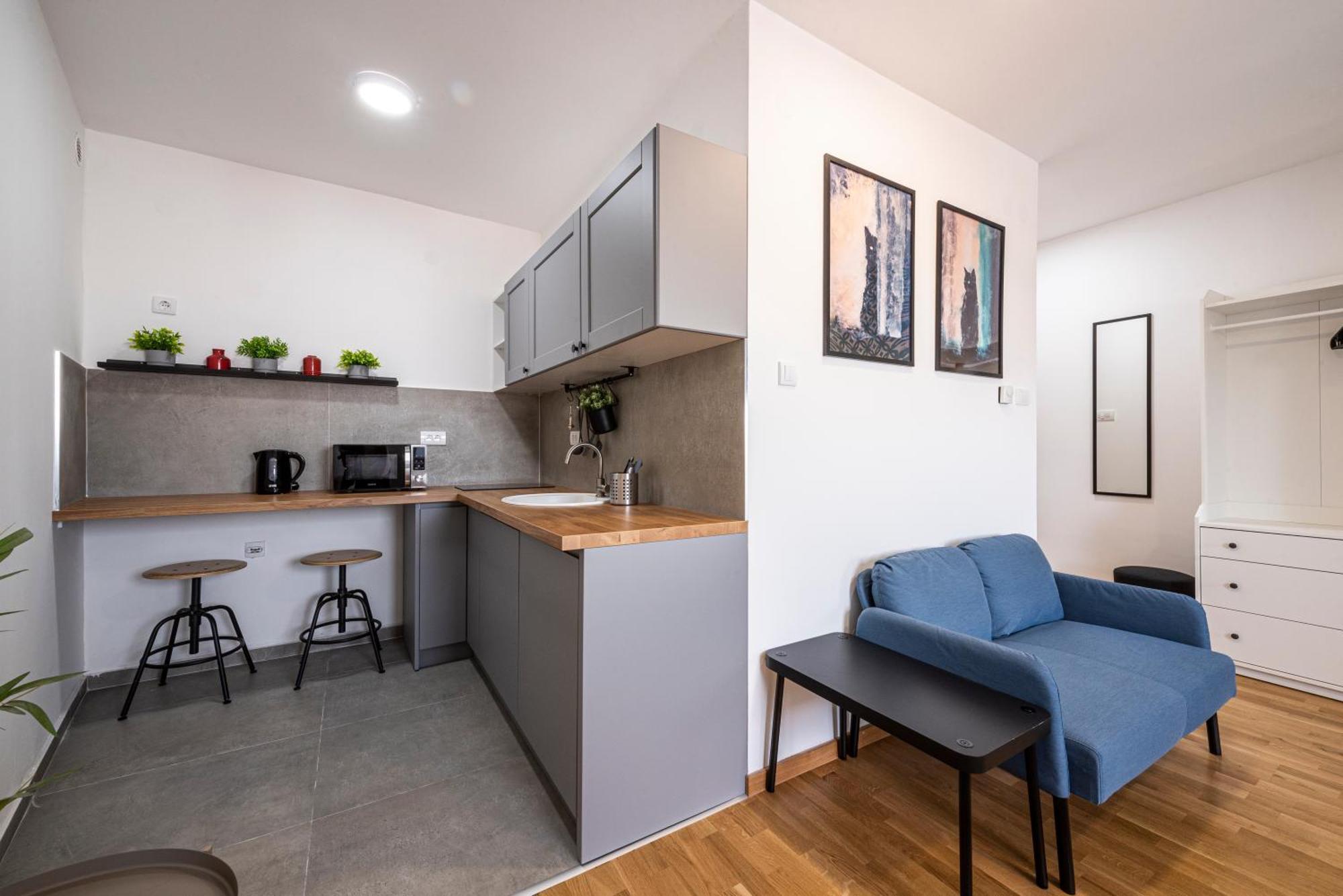 Modern Bright Studio-free Private Parking-fast Wi-fi Нови Сад
